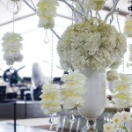 http://www.katcreechevents.com/wp-content/uploads/36.jpg