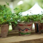 http://www.katcreechevents.com/wp-content/uploads/50.jpg